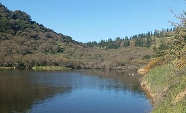 VENDO PARCELA DE 5000 M2 EN SECTOR LOS CRISTALES, COMUNA DE PENCAHUE