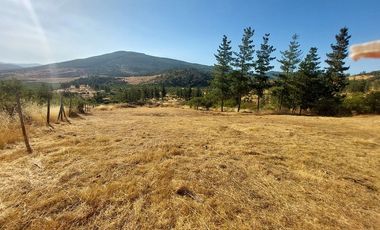 VENDO PARCELA DE 5000 M2 EN SECTOR LOS CRISTALES, COMUNA DE PENCAHUE