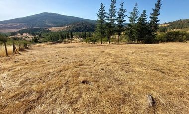 VENDO PARCELA DE 5000 M2 EN SECTOR LOS CRISTALES, COMUNA DE PENCAHUE
