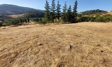VENDO PARCELA DE 5000 M2 EN SECTOR LOS CRISTALES, COMUNA DE PENCAHUE