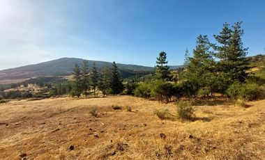 VENDO PARCELA DE 5000 M2 EN SECTOR LOS CRISTALES, COMUNA DE PENCAHUE