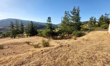 VENDO PARCELA DE 5000 M2 EN SECTOR LOS CRISTALES, COMUNA DE PENCAHUE