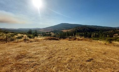 VENDO PARCELA DE 5000 M2 EN SECTOR LOS CRISTALES, COMUNA DE PENCAHUE
