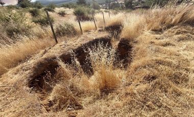 VENDO PARCELA DE 5000 M2 EN SECTOR LOS CRISTALES, COMUNA DE PENCAHUE