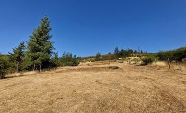 VENDO PARCELA DE 5000 M2 EN SECTOR LOS CRISTALES, COMUNA DE PENCAHUE