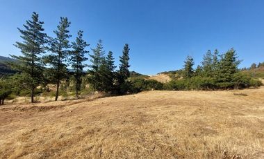 VENDO PARCELA DE 5000 M2 EN SECTOR LOS CRISTALES, COMUNA DE PENCAHUE