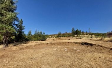 VENDO PARCELA DE 5000 M2 EN SECTOR LOS CRISTALES, COMUNA DE PENCAHUE
