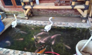 Dijual Rumah 2 Lantai Di Mustikajaya Bekasi Grand Regency Kota Bekasi