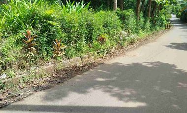 jual tanah 3- 50 hektar bisa untuk pabrik perumahan pondok dekat bandara YIA kulonprogo