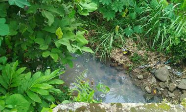 jual tanah 3- 50 hektar bisa untuk pabrik perumahan pondok dekat bandara YIA kulonprogo