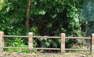 jual tanah 3- 50 hektar bisa untuk pabrik perumahan pondok dekat bandara YIA kulonprogo