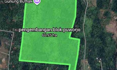 jual tanah 3- 50 hektar bisa untuk pabrik perumahan pondok dekat bandara YIA kulonprogo