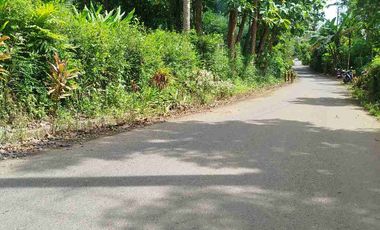 jual tanah 3- 50 hektar bisa untuk pabrik perumahan pondok dekat bandara YIA kulonprogo