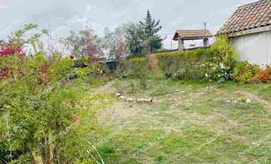 Se vende excelente casa  sólida 225 M2 con Parcela 5000 mtrs en Palmilla Linares .