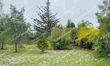 Se vende excelente casa  sólida 225 M2 con Parcela 5000 mtrs en Palmilla Linares .