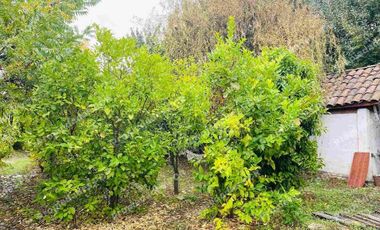 Se vende excelente casa  sólida 225 M2 con Parcela 5000 mtrs en Palmilla Linares .