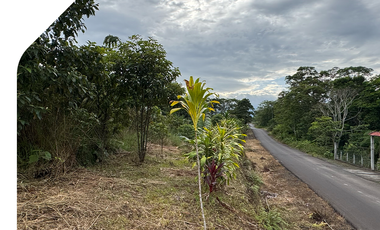 Terreno en Macas - Morona Santiago, 1 Hectárea en Santa Ana - Macas. Terreno con excelente ubicación, Hectárea en Morona Santiago