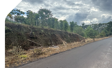 Terreno en Macas - Morona Santiago, 1 Hectárea en Santa Ana - Macas. Terreno con excelente ubicación, Hectárea en Morona Santiago