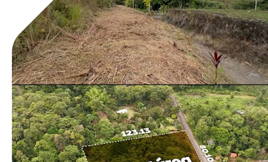 Terreno en Macas - Morona Santiago, 1 Hectárea en Santa Ana - Macas. Terreno con excelente ubicación, Hectárea en Morona Santiago