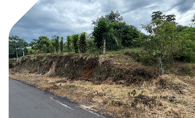 Terreno en Macas - Morona Santiago, 1 Hectárea en Santa Ana - Macas. Terreno con excelente ubicación, Hectárea en Morona Santiago