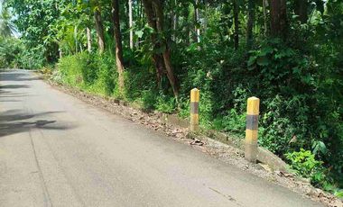 jual pekarangan 50hektar dekat bandara YIA kulonprogo