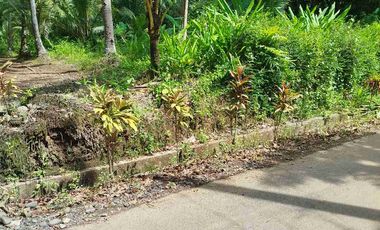 jual pekarangan 50hektar dekat bandara YIA kulonprogo