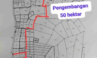 jual pekarangan 50hektar dekat bandara YIA kulonprogo