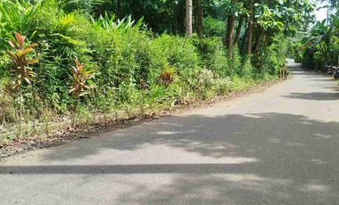 jual pekarangan 50hektar dekat bandara YIA kulonprogo