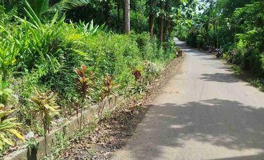 jual pekarangan 50hektar dekat bandara YIA kulonprogo