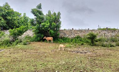 Tanah MURAH 400m2 di Kutuh, Area Yang Sedang Berkembang Dekat Ungasan dan Nusa Dua