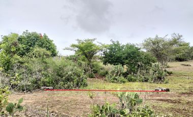 Dijual Tanah MURAH Kawasan Vila di Kutuh - Nusa Dua