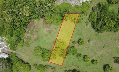 Dijual Tanah MURAH Kawasan Vila di Kutuh - Nusa Dua