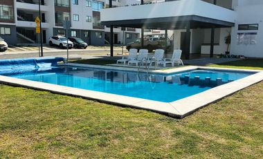 RENTO DEPARTAMENTO EN PLANTA BAJA, CENTRICO, EXCELENTE ESTADO.