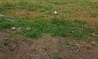 DISEWAKAN/ DIJUAL TANAH INDUSTRI DEMAK, AKSES CONTAINER