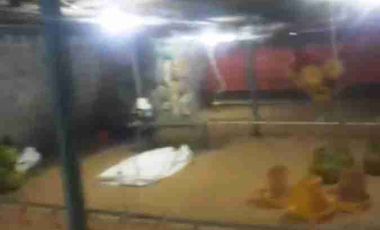 jual kandang ayam omset 1,5Milyar di Ngombol purworejo jateng