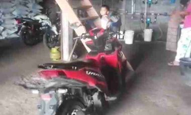 jual kandang ayam omset 1,5Milyar di Ngombol purworejo jateng