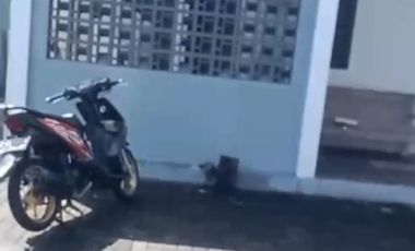 Dijual Cepat Gudang Zona Merah Industri Lokasi Juwiring,Klaten Luas 7000m2