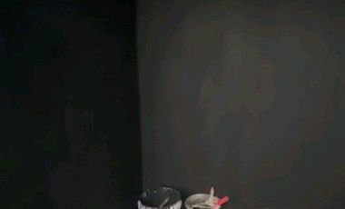 Ruko Strategis Kalisari Pasar Rebo | Cocok Resto & Coffee Shop | Parkir Depan