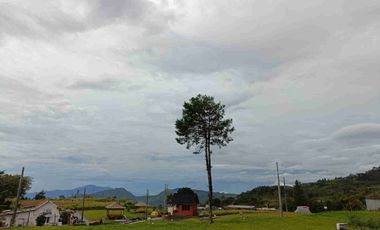 Villa Puncak SHM 1000 Mdpl Panoramic Highland Bogor Murah