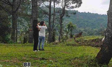 Villa Puncak SHM 1000 Mdpl Panoramic Highland Bogor Murah