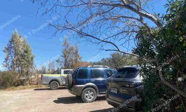 Inversión Comercial Consolidada – Excelente Rentabilidad