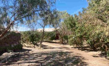 Inversión Comercial Consolidada – Excelente Rentabilidad