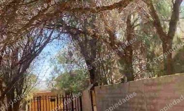 Inversión Comercial Consolidada – Excelente Rentabilidad