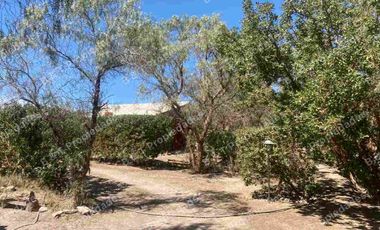 Inversión Comercial Consolidada – Excelente Rentabilidad