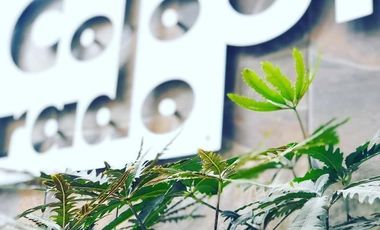 Se vende o renta, edificio de tres niveles en Col. Napoles, Benito Juárez, CDMX