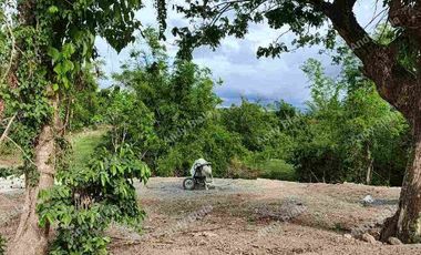 Residential Lot FOR SALE at San Juan, La Union