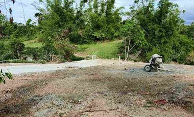 Residential Lot FOR SALE at San Juan, La Union