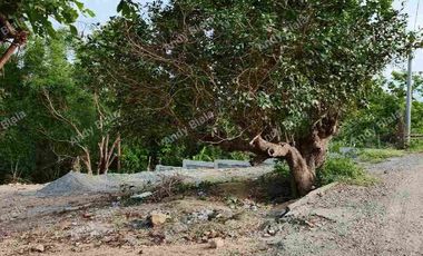 Residential Lot FOR SALE at San Juan, La Union