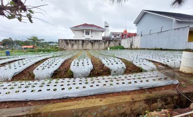 Dijual Tanah Kavling Lokasi Sejuk di Graha Puspa Lembang Bandung