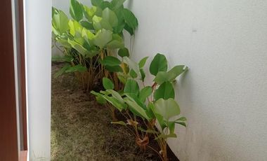 Rumah 2 Lantai Siap Huni Lokasi Strategis Dijual, Denpasar Utara